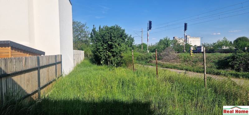 20250430_164241.jpg